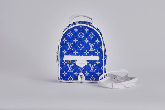 Louis Vuitton Palm Springs Mini Blue